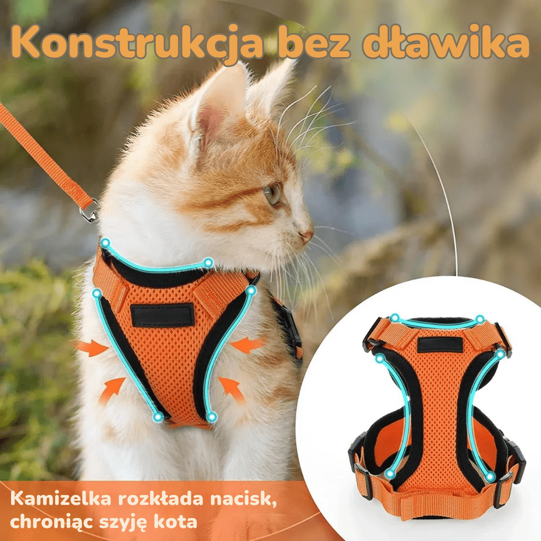 Dobre Szelki Dla Kota | Akcesoria Kota