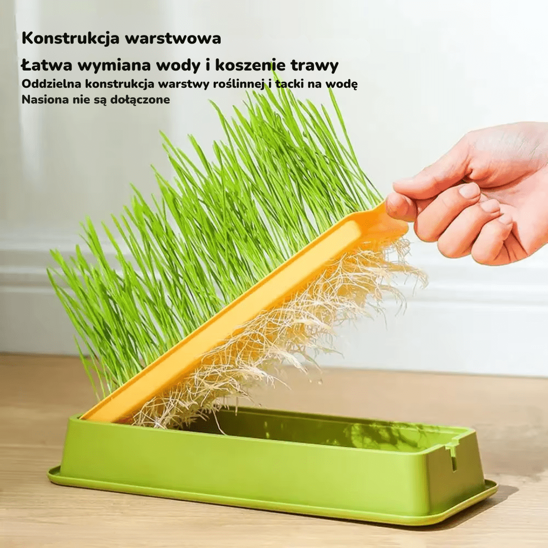 Miska Dla Kota Z Kocią Trawą | Akcesoria Kota