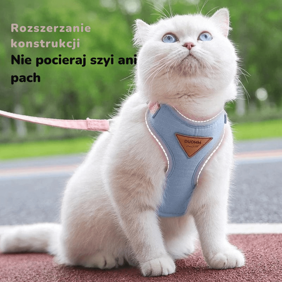 Szelki i Smycz dla Kota | Akcesoria Kota