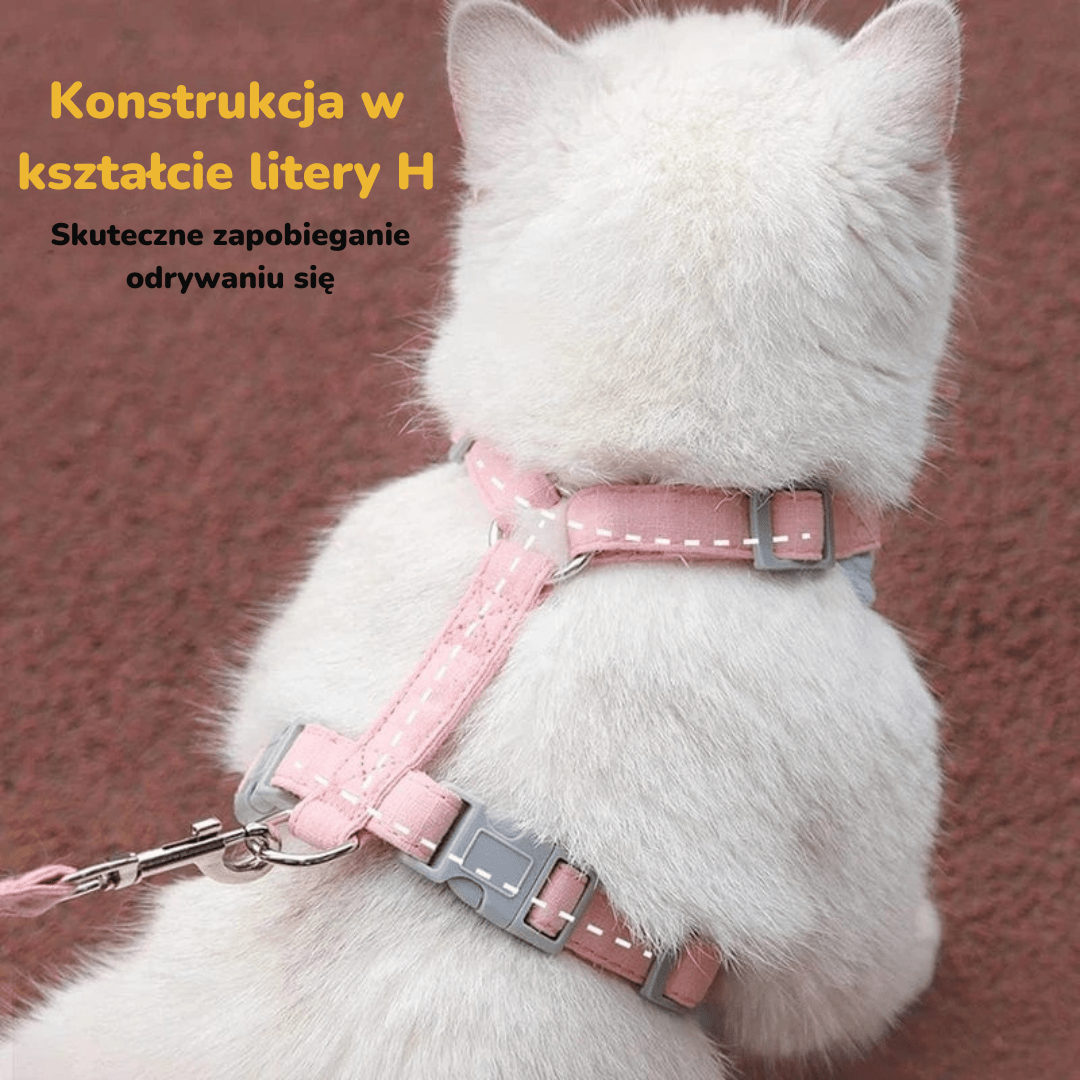 Szelki i Smycz dla Kota | Akcesoria Kota