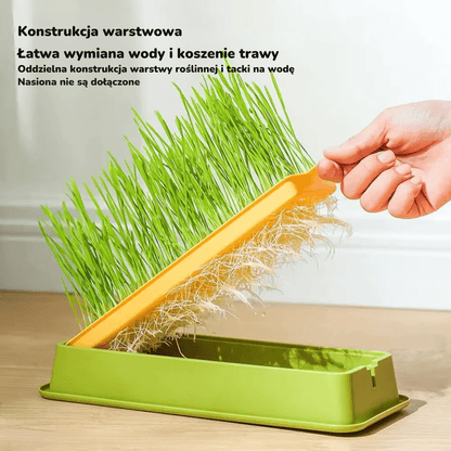 Miska Dla Kota Z Kocią Trawą | Akcesoria Kota