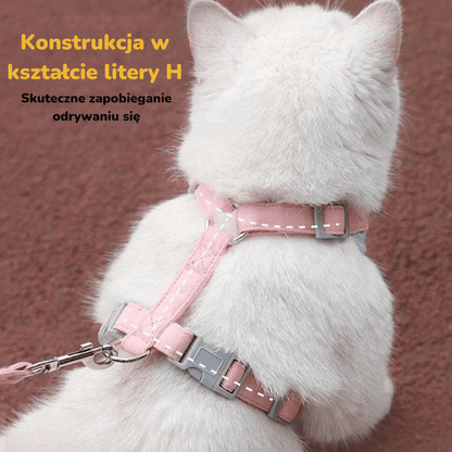 Szelki i Smycz dla Kota | Akcesoria Kota