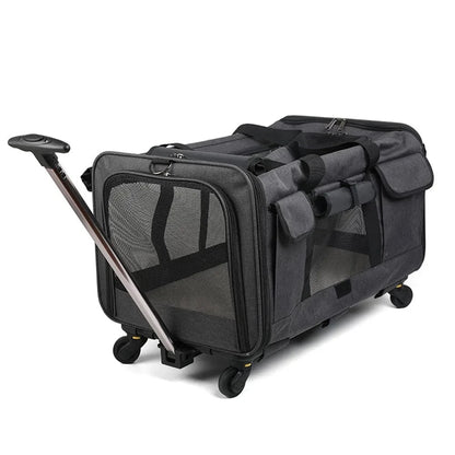 Transporter Dla Kota XXL | Akcesoria Kota Czarny